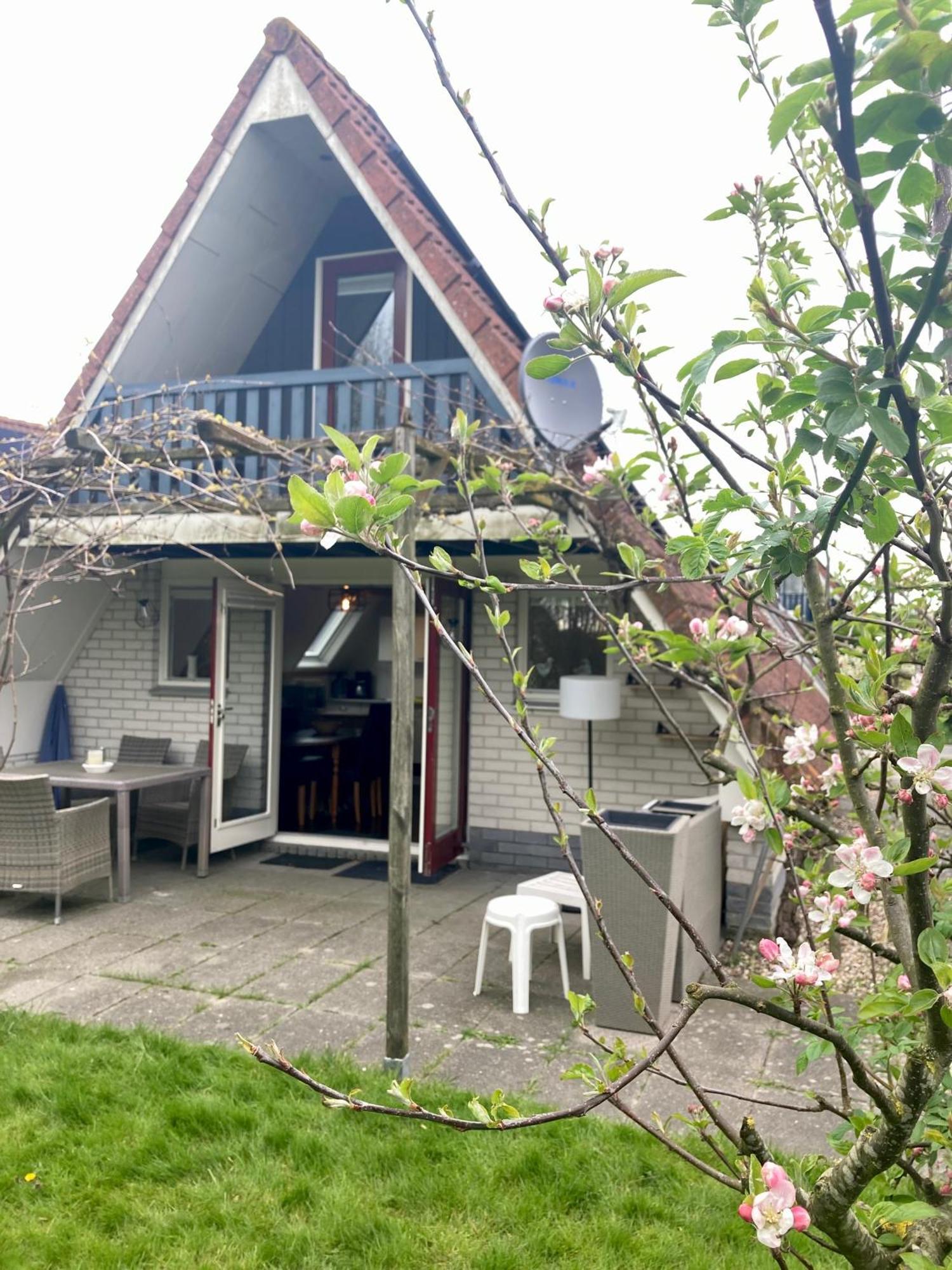 De Druif 6 Pers Holiday Home Close To The National Park Lauwersmeer Anjum Ngoại thất bức ảnh